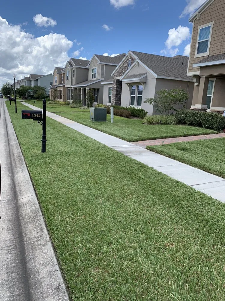 Top-rated garden landscaping experts serving Kissimmee, FL - Winter Mowing