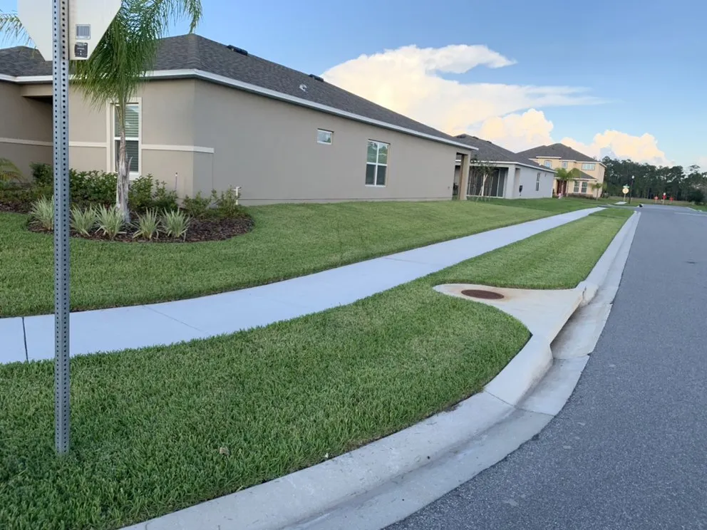 Top-rated landscaping services experts serving Kissimmee, FL - Winter Mowing