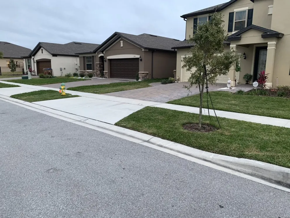 Reliable lawn mowing service in Kissimmee, FL by Winter Mowing