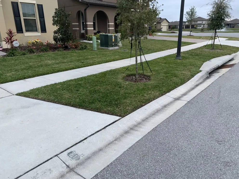 Professional lawn care service experts serving Kissimmee, FL - Winter Mowing