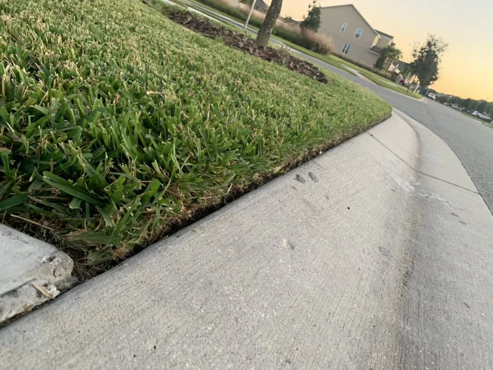 Top-rated yard maintenance in Kissimmee, FL by Winter Mowing