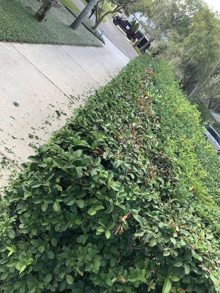 Reliable garden landscaping in Kissimmee, FL by Winter Mowing