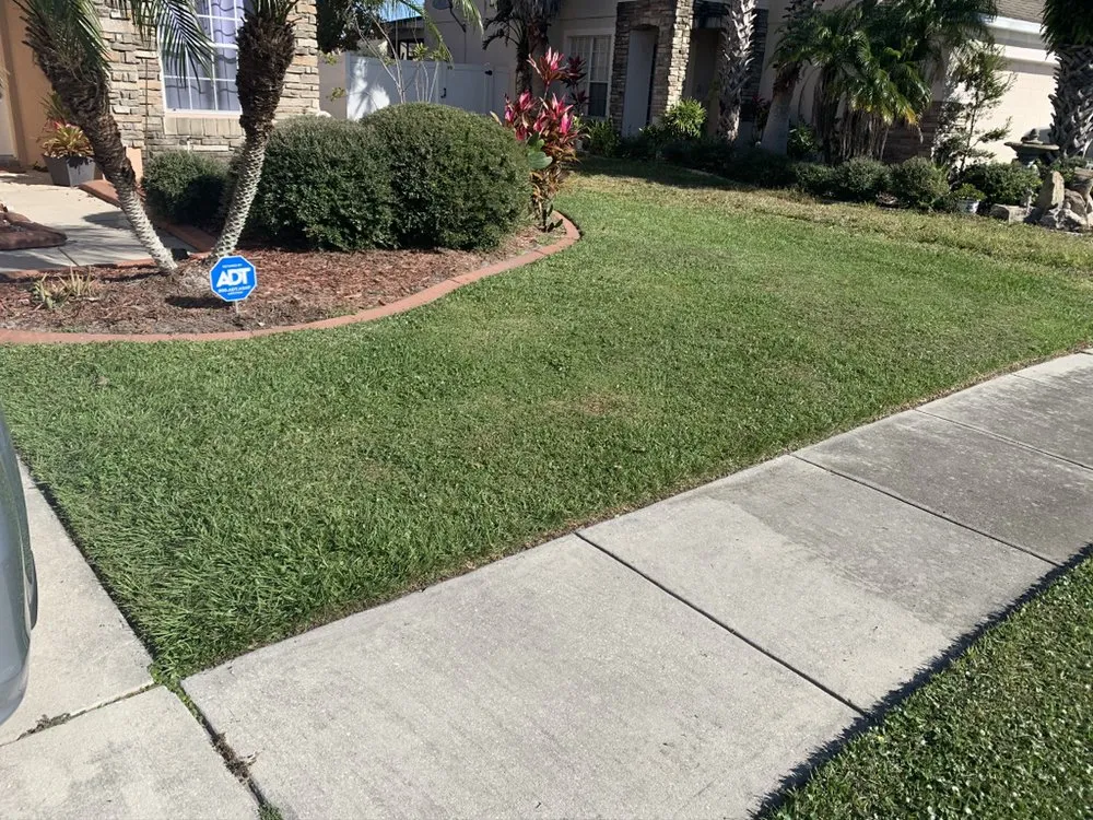 Affordable landscape installation experts serving Kissimmee, FL - Winter Mowing