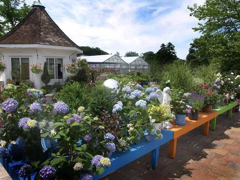 Affordable landscape design in Southington, CT by Winterberry Gardens