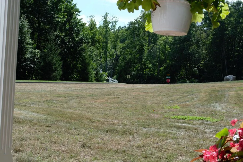 Expert landscaping services experts serving Southington, CT - Winterberry Gardens