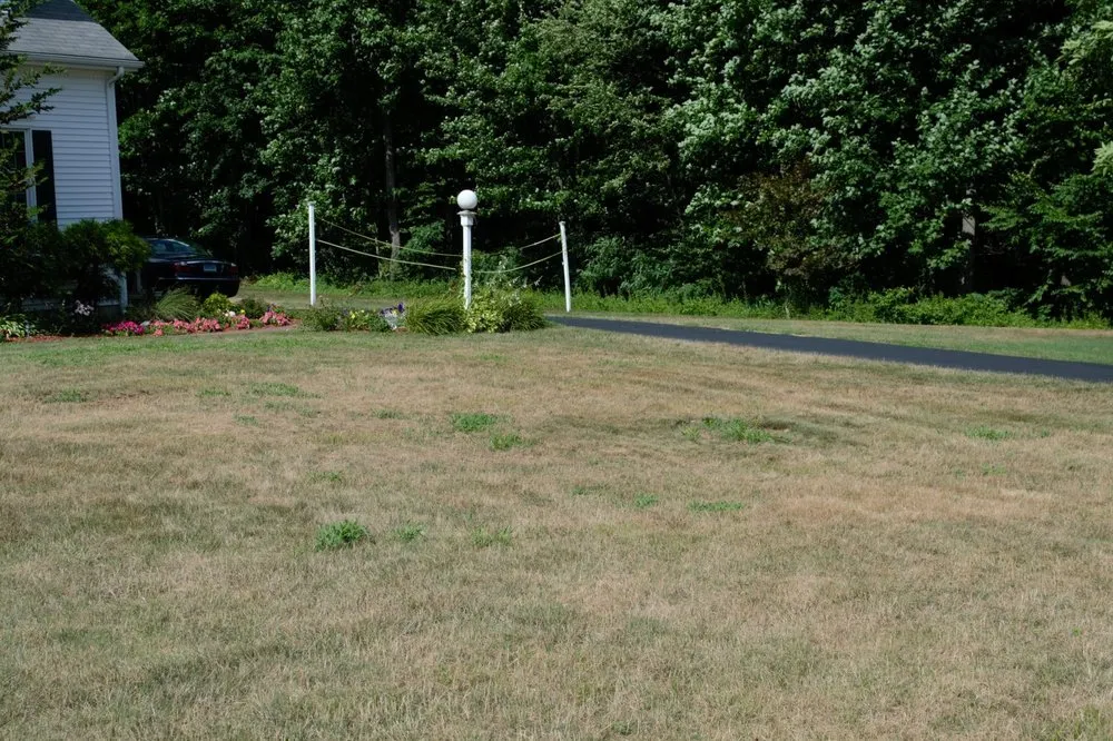 Affordable lawn mowing service in Southington, CT - Winterberry Gardens