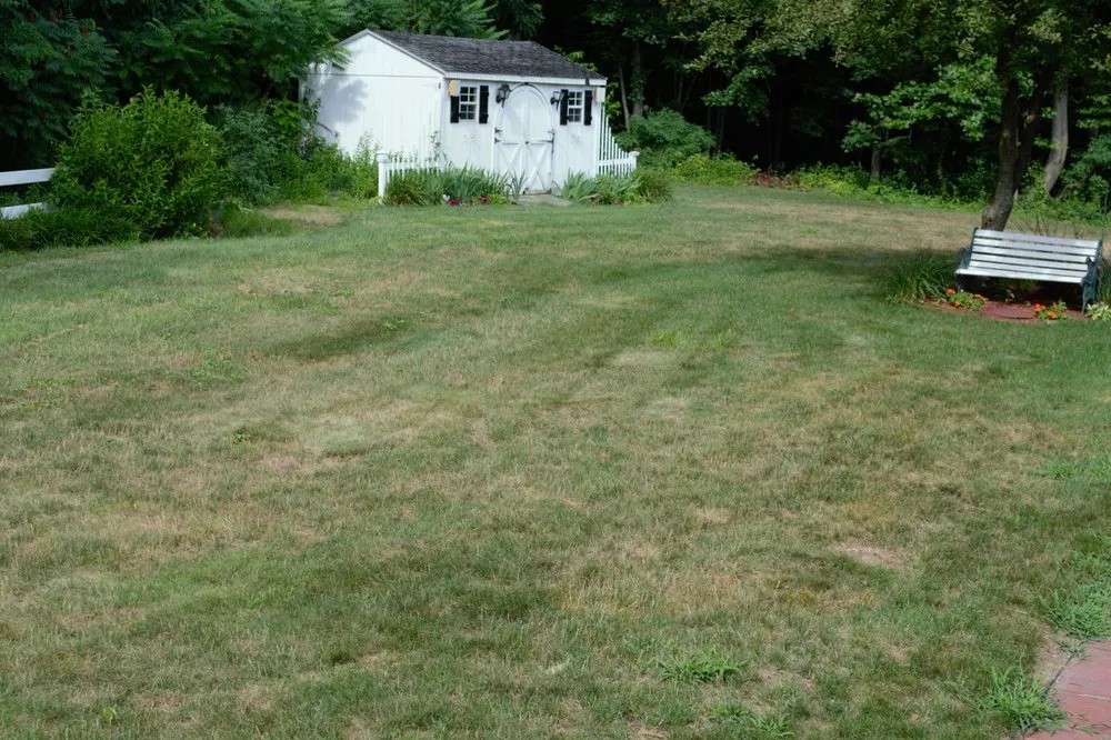 Local landscape installation near you across Southington, CT - Winterberry Gardens