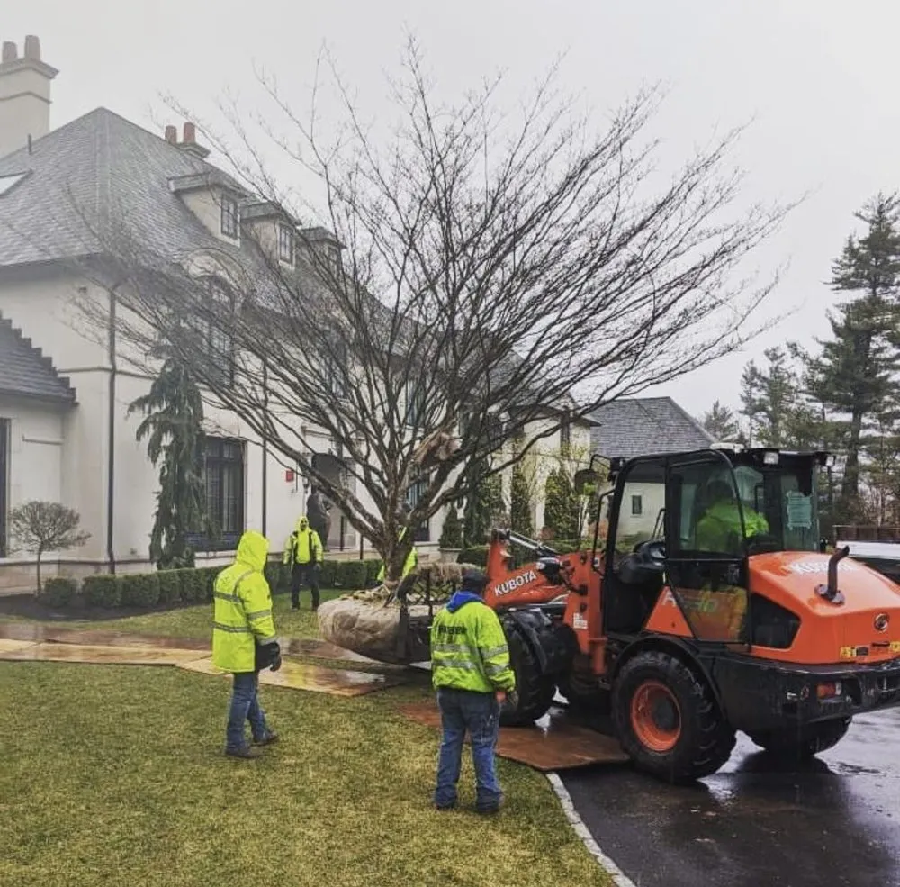 Professional landscape design for year-round maintenance across Southington, CT - Winterberry Gardens
