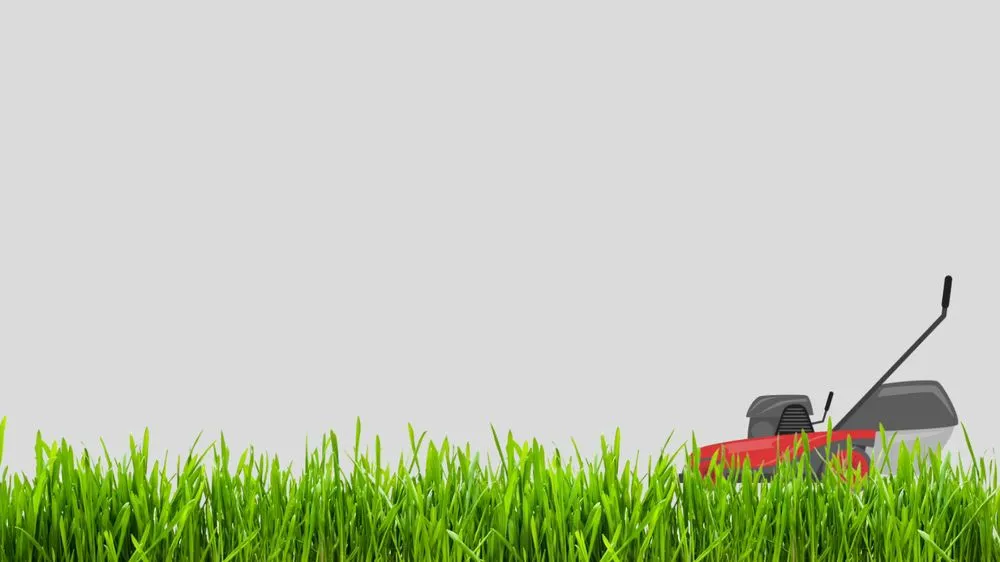 Reliable yard cleanup service in Dallas, TX - Winterberry Landscaping