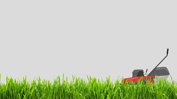 Winterberry Landscaping Logo