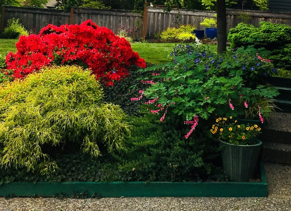 Expert residential landscaping in Tigard, OR by WinterBloom Landscaping Cooperative