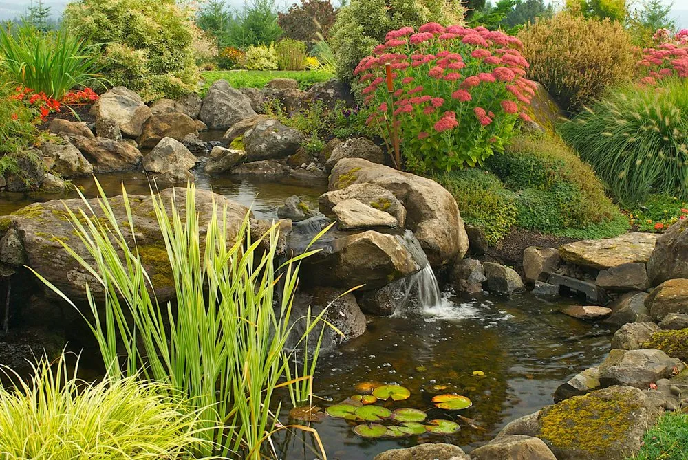 Professional landscape design in Tigard, OR by WinterBloom Landscaping Cooperative