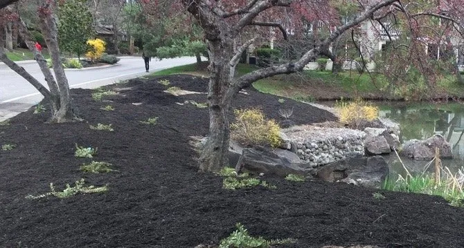 Custom outdoor landscaping near you across Boise, ID - Wintergreen Horticulture Arboriculture