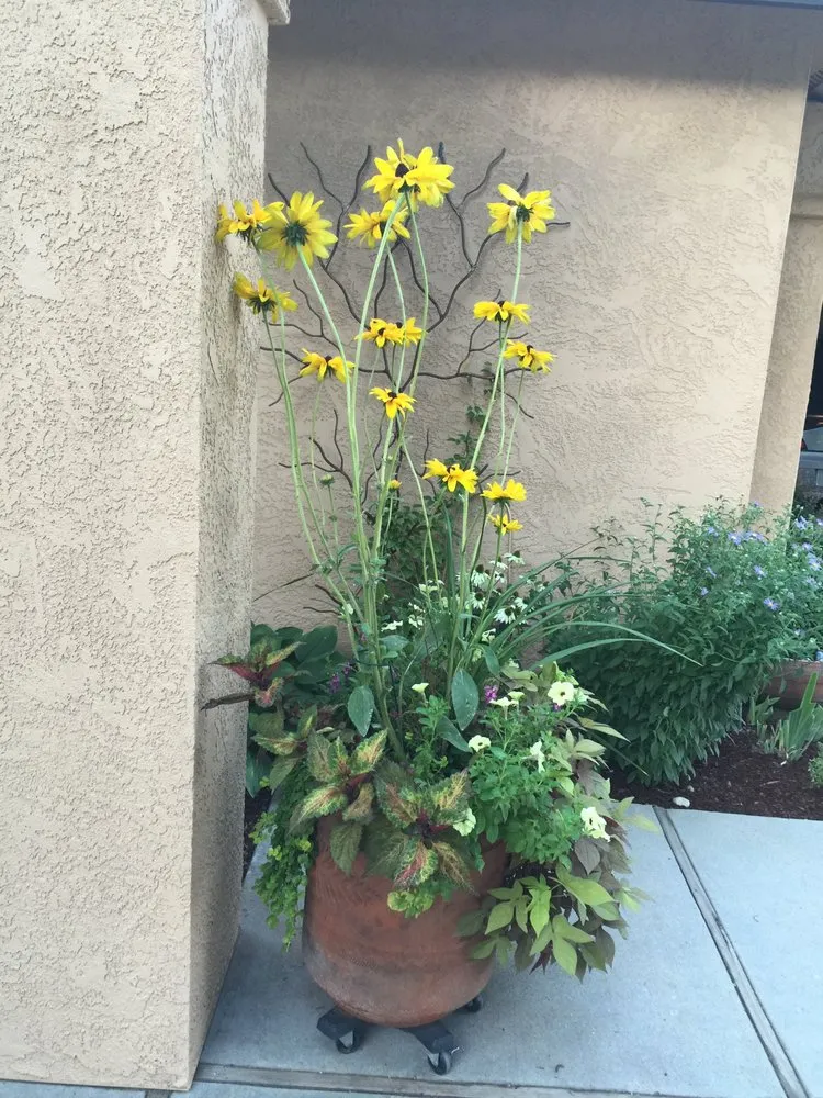 Expert landscape installation for beautiful yards across Boise, ID - Wintergreen Horticulture Arboriculture