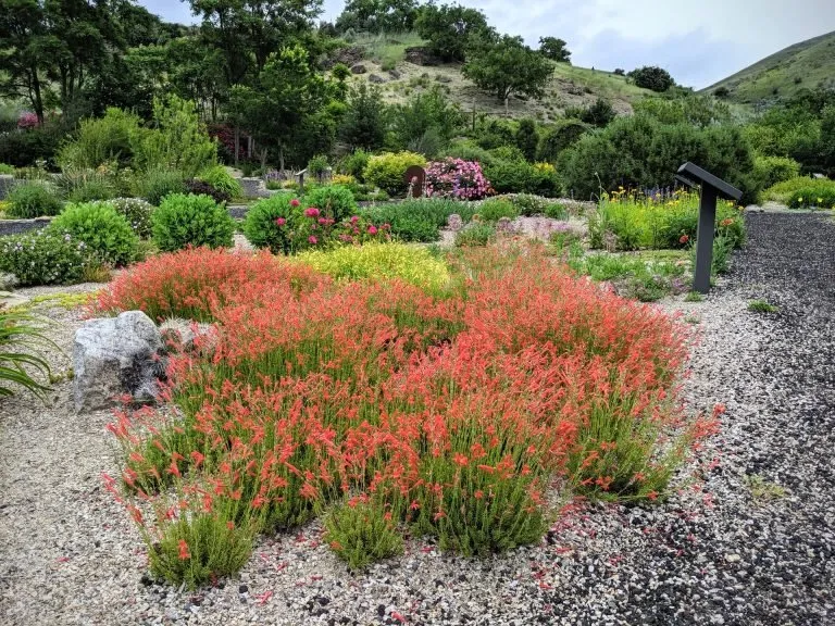Trusted landscape installation in Boise, ID by Wintergreen Horticulture Arboriculture