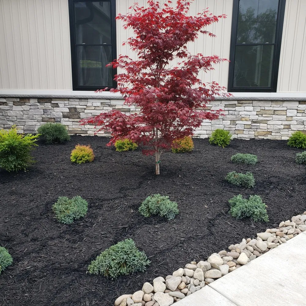 Custom yard cleanup service experts serving Waldorf, MD - Wintergreen Landscape Nursery