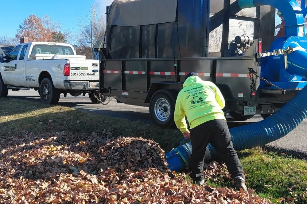 Affordable landscape installation near you in Waldorf, MD by Wintergreen Landscape Nursery