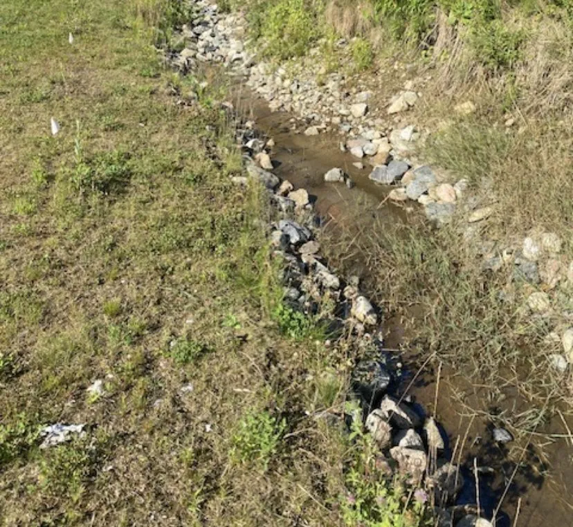 Trusted yard cleanup service in Berlin, NH - Wintergreen Landscaping