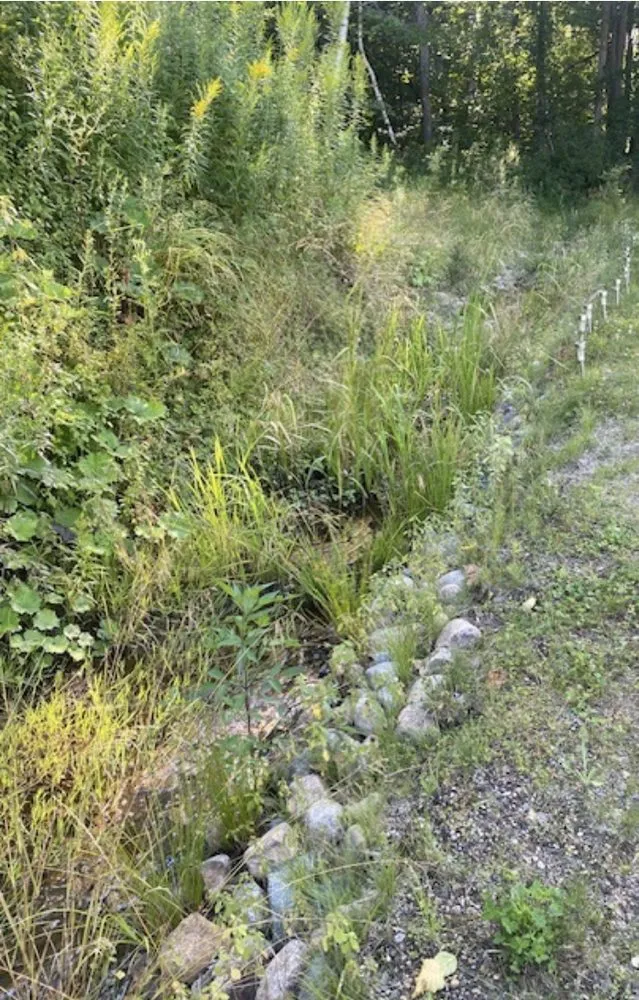 Professional landscape installation with custom design in Berlin, NH by Wintergreen Landscaping