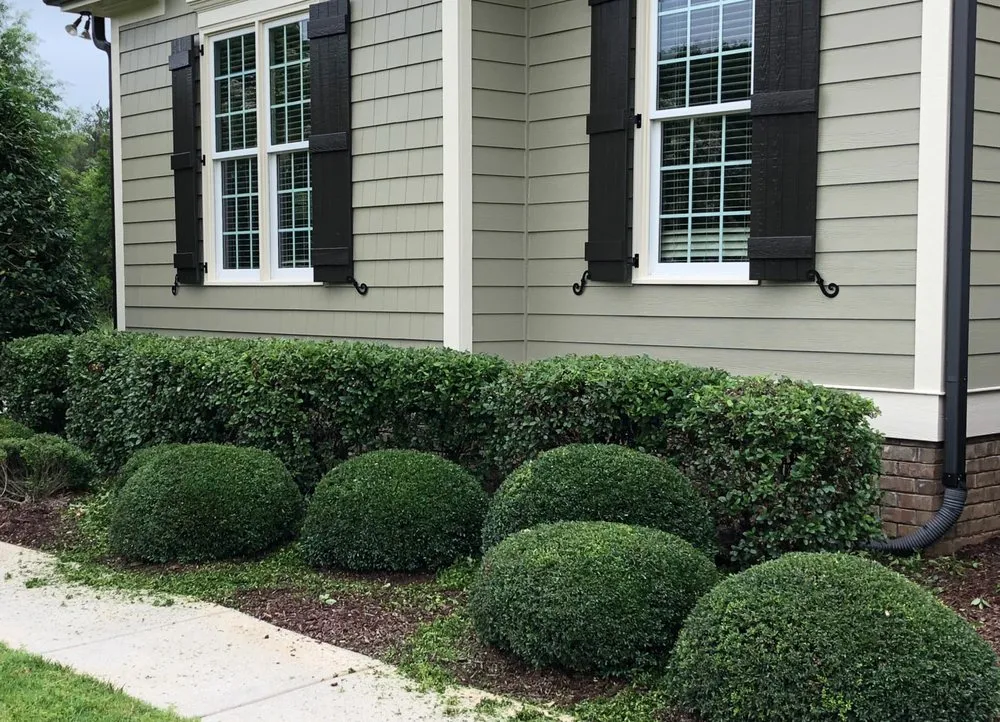 Custom outdoor landscaping in Durham, NC by Wintergreen Landscaping