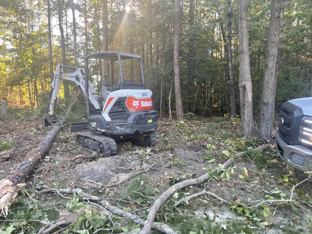 Reliable yard cleanup service in Durham, NC by Wintergreen Landscaping