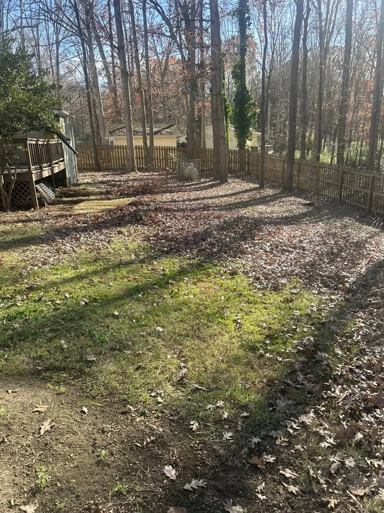 Professional outdoor landscaping for homes in Durham, NC by Wintergreen Landscaping