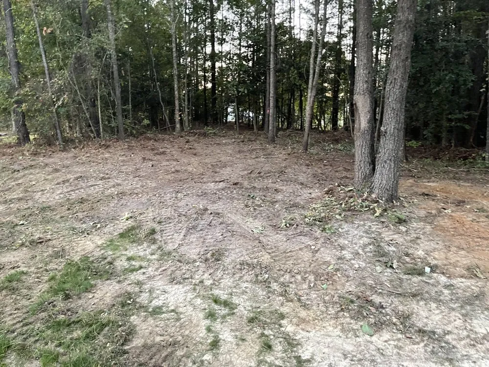 Professional landscaping services experts serving Durham, NC - Wintergreen Landscaping