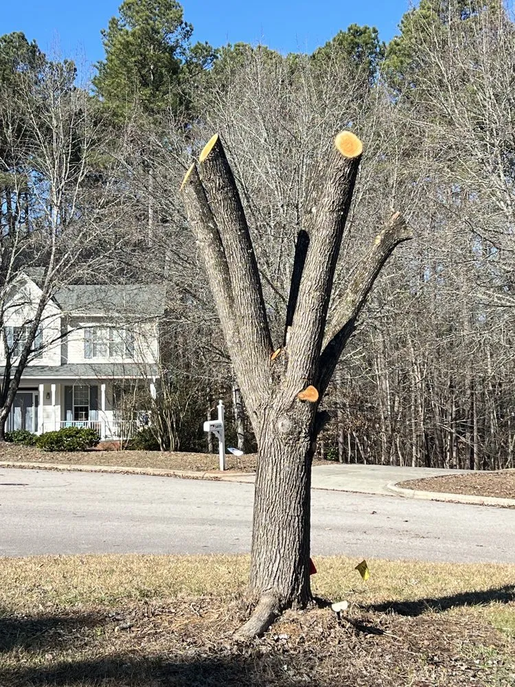 Custom landscape installation for residential properties across Durham, NC - Wintergreen Landscaping