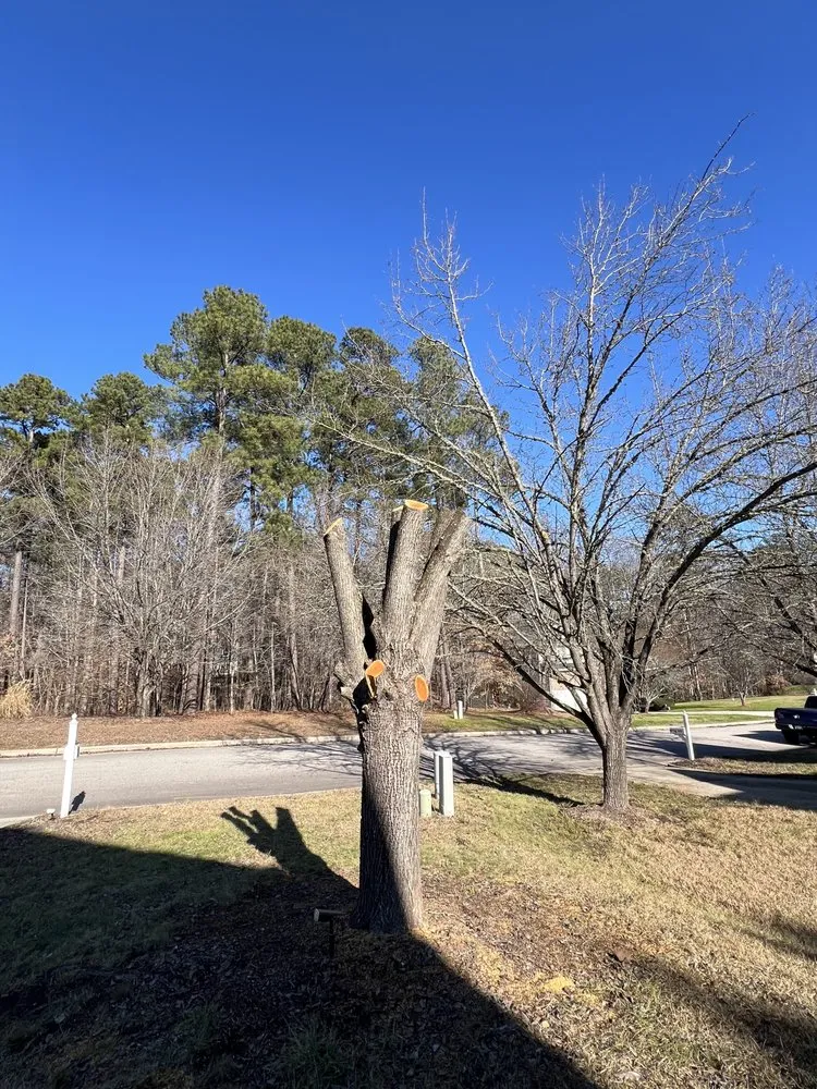 Custom yard maintenance experts serving Durham, NC - Wintergreen Landscaping