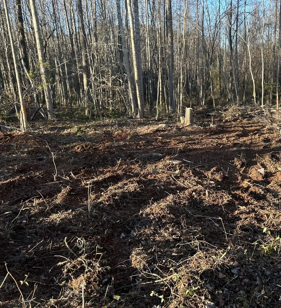 Expert lawn mowing service in Durham, NC - Wintergreen Landscaping