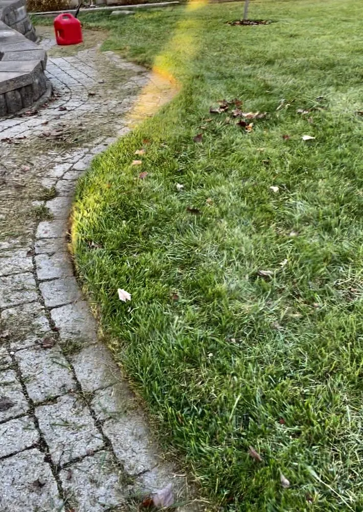 Affordable yard cleanup service in Lexington-Fayette, KY by Wintergreen Lawncare