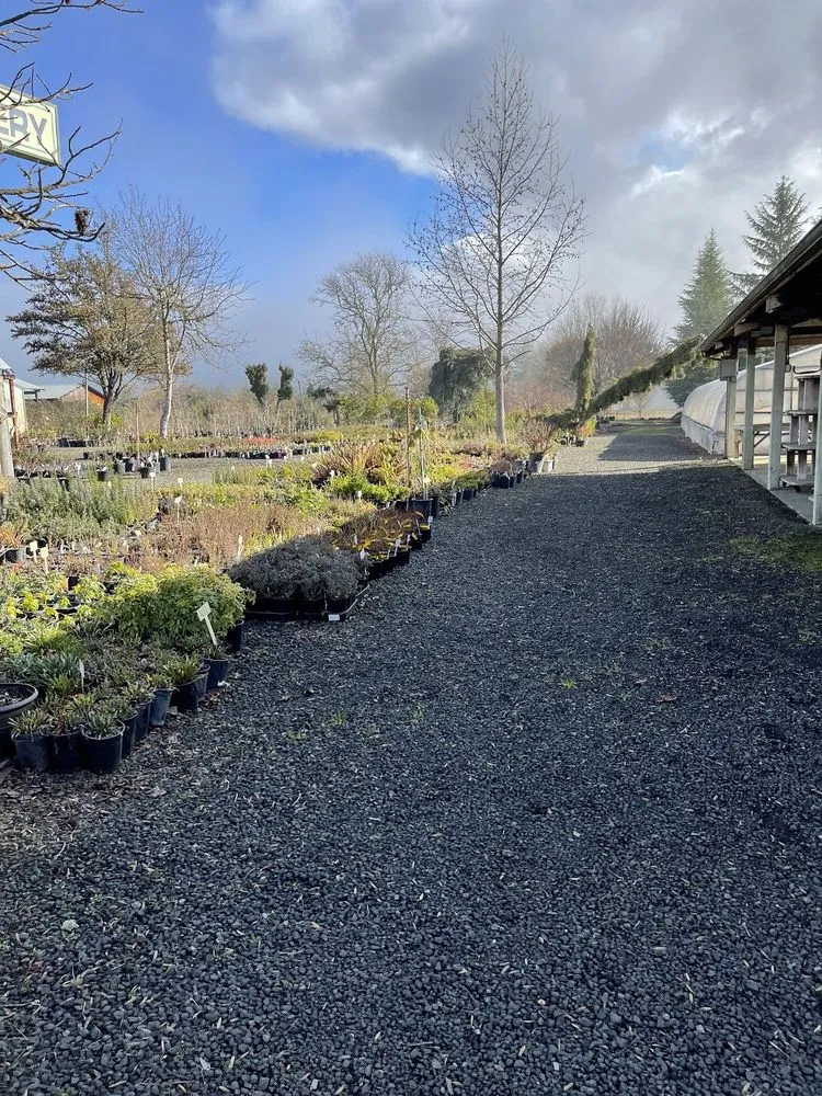 Trusted landscape installation near you in Winston, OR by Wintergreen Nursery