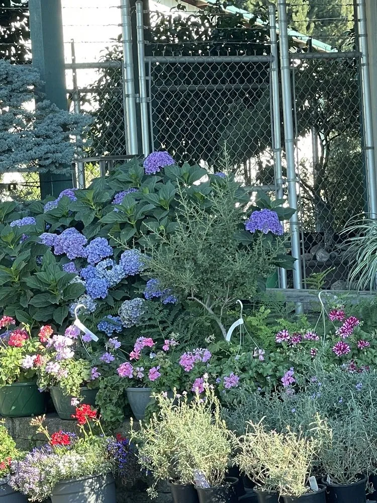 Expert lawn care service in Winston, OR by Wintergreen Nursery