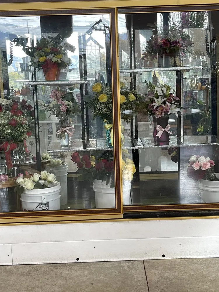 Top-rated yard cleanup service in Winston, OR by Wintergreen Nursery