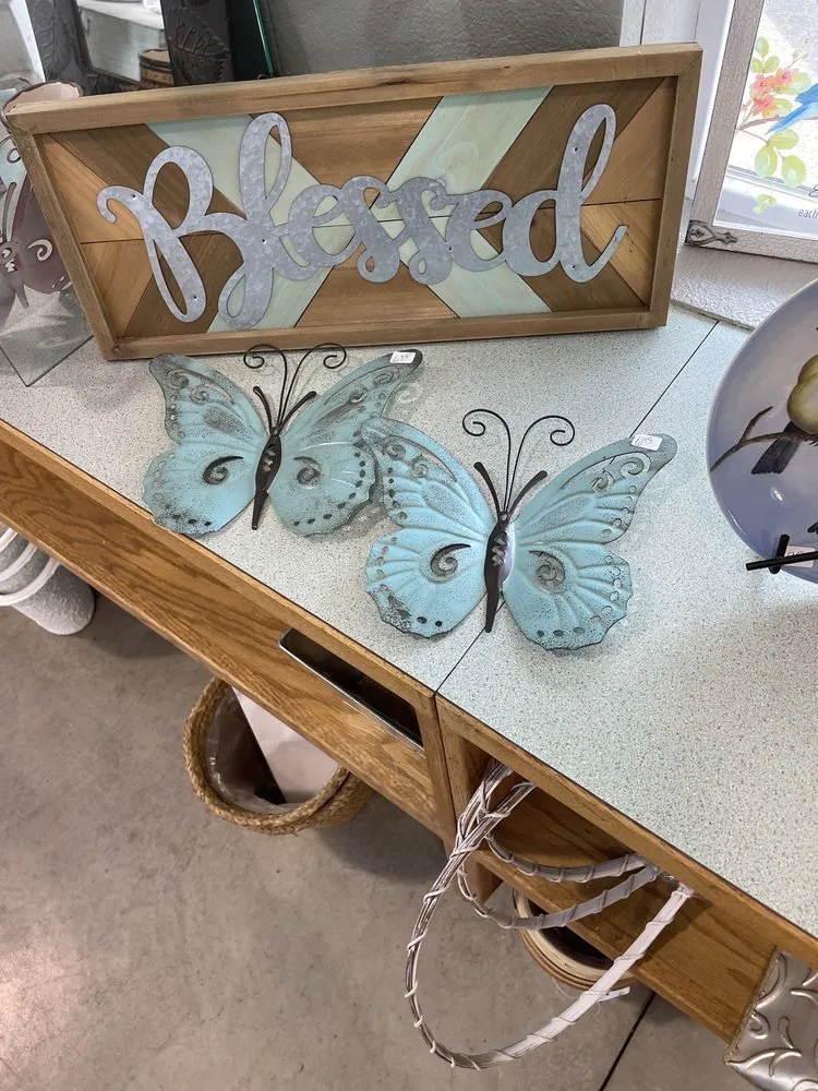 Expert yard cleanup service experts serving Winston, OR - Wintergreen Nursery