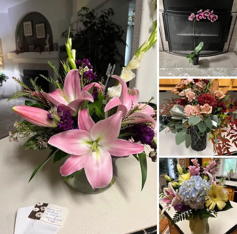 Trusted lawn mowing service experts serving Winston, OR - Wintergreen Nursery