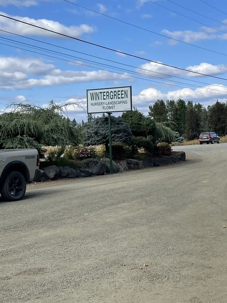 Affordable yard cleanup service in Winston, OR by Wintergreen Nursery