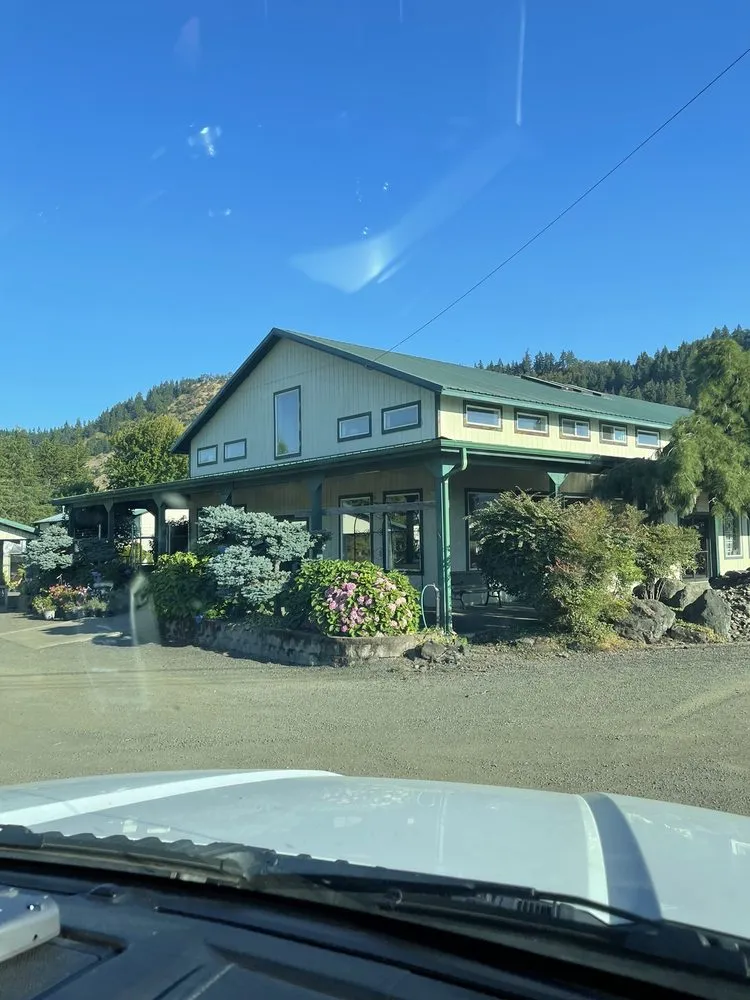 Expert yard cleanup service in Winston, OR by Wintergreen Nursery