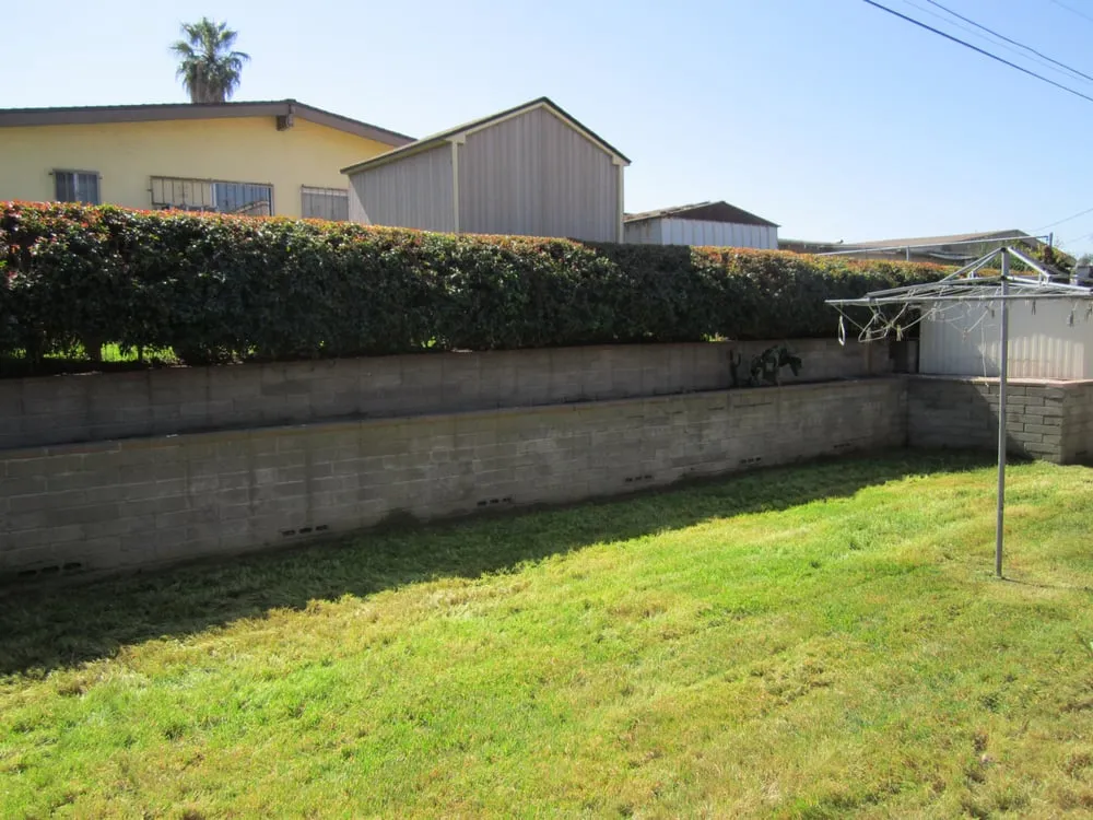 Trusted yard cleanup service in Lemon Grove, CA by Winters Lawn Maintenance