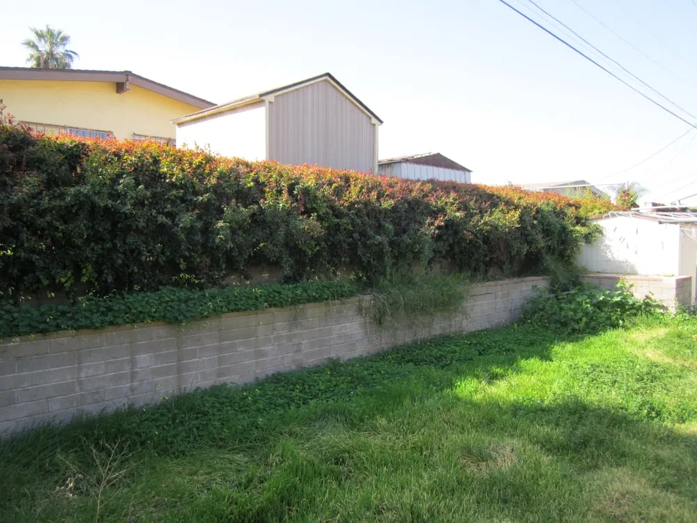 Professional lawn care service with custom design across Lemon Grove, CA - Winters Lawn Maintenance