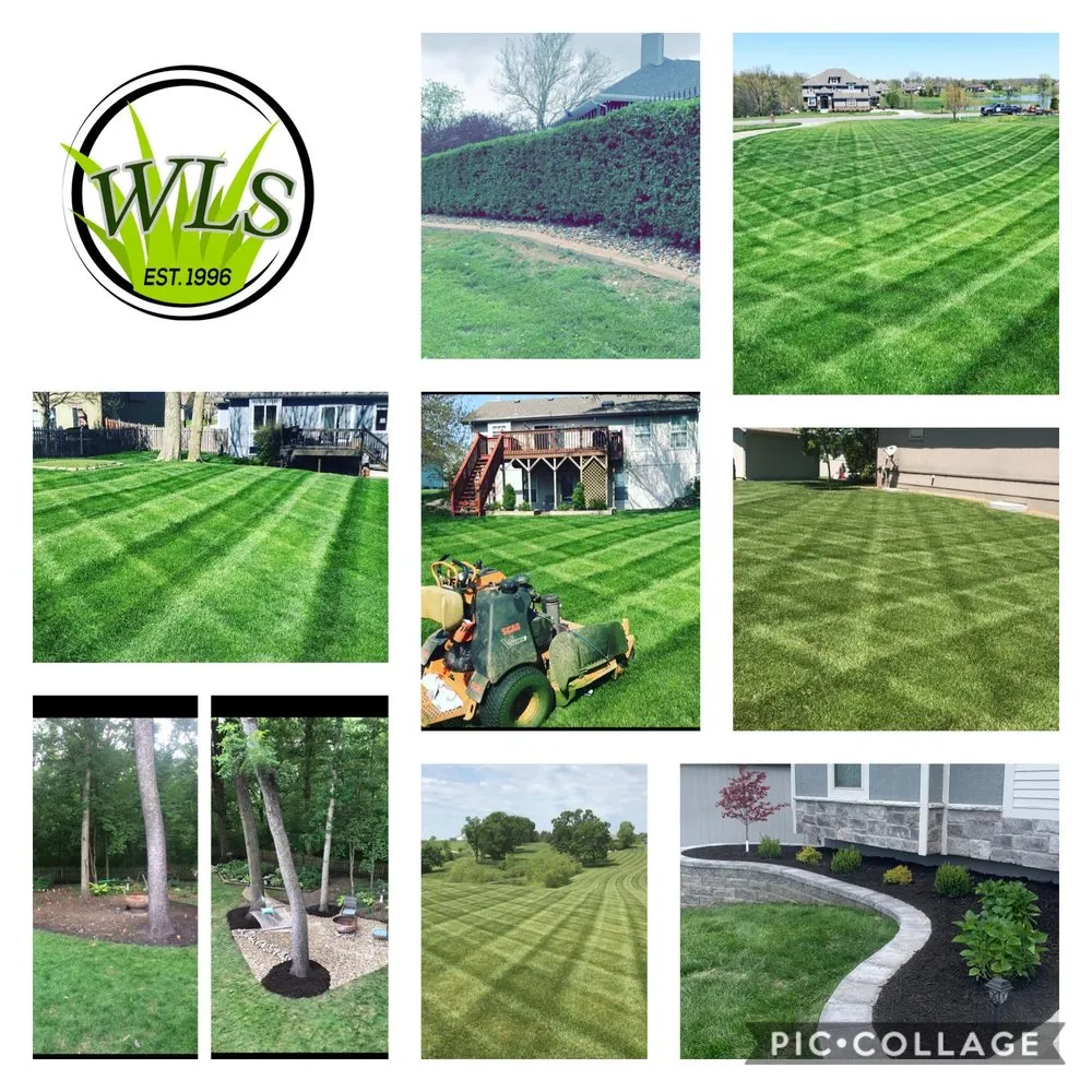 Affordable lawn mowing service in Liberty, MO - Winters Lawn Service