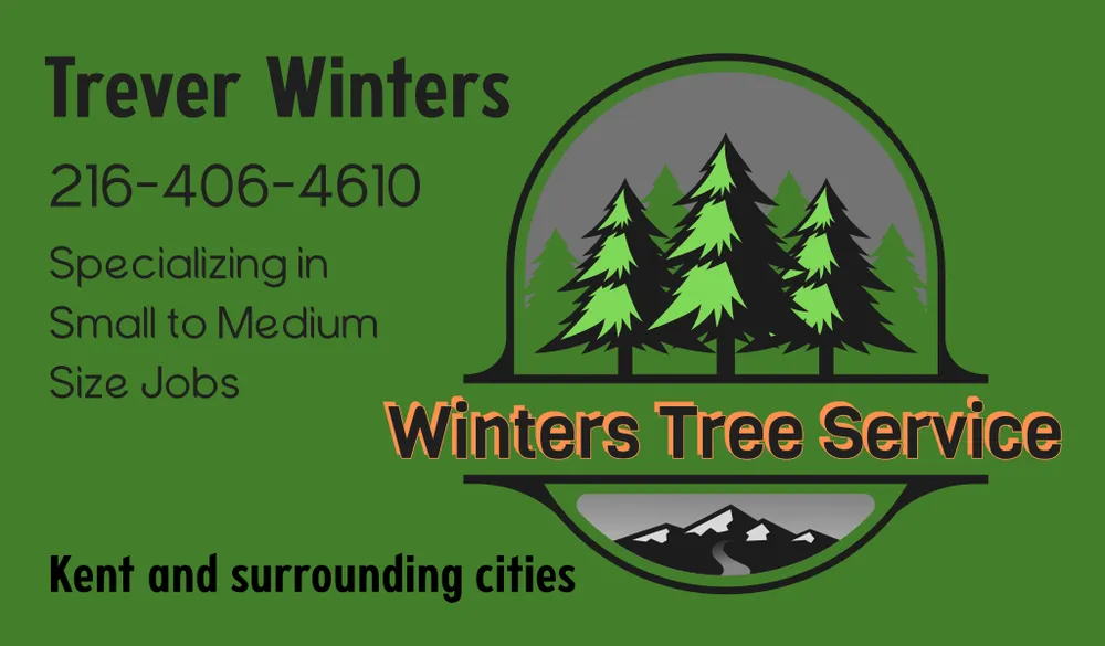 Reliable yard cleanup service in Kent, OH - Winters Tree Service