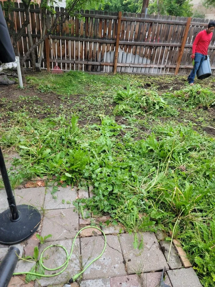 Trusted residential landscaping for residential properties across Midvale, UT - winterspring Landscaping