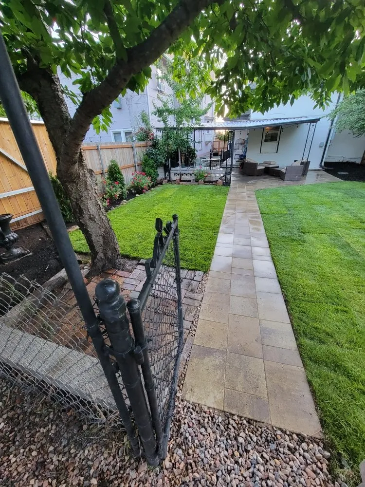 Top-rated yard cleanup service in Midvale, UT by winterspring Landscaping