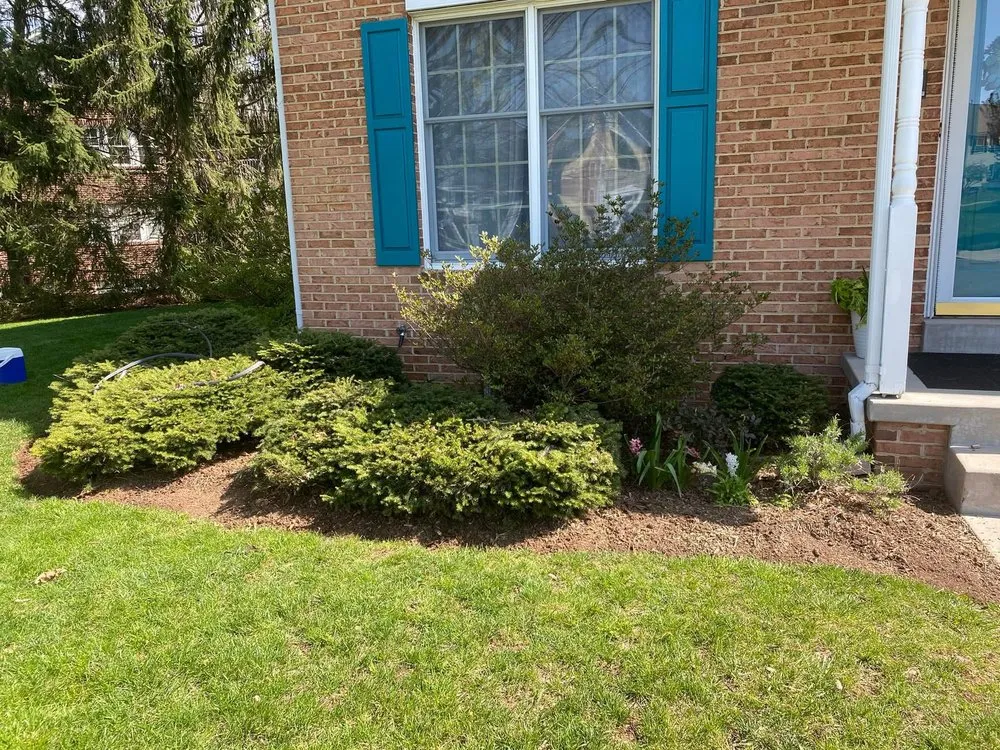 Local yard cleanup service near you in Frederick, MD by WinterWorks Landscaping