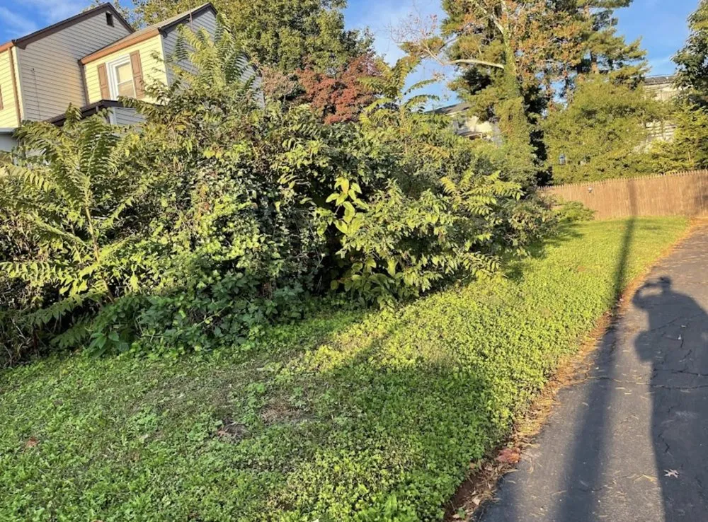 Top-rated landscaping services experts serving Frederick, MD - WinterWorks Landscaping