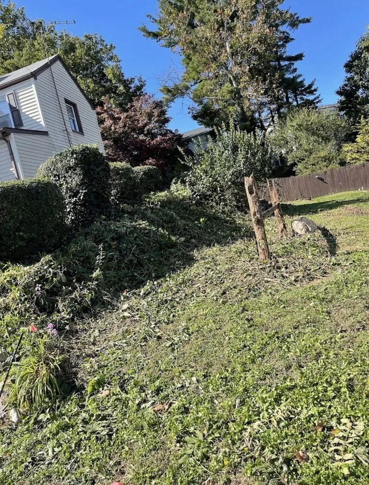 Local outdoor landscaping for homes in Frederick, MD by WinterWorks Landscaping