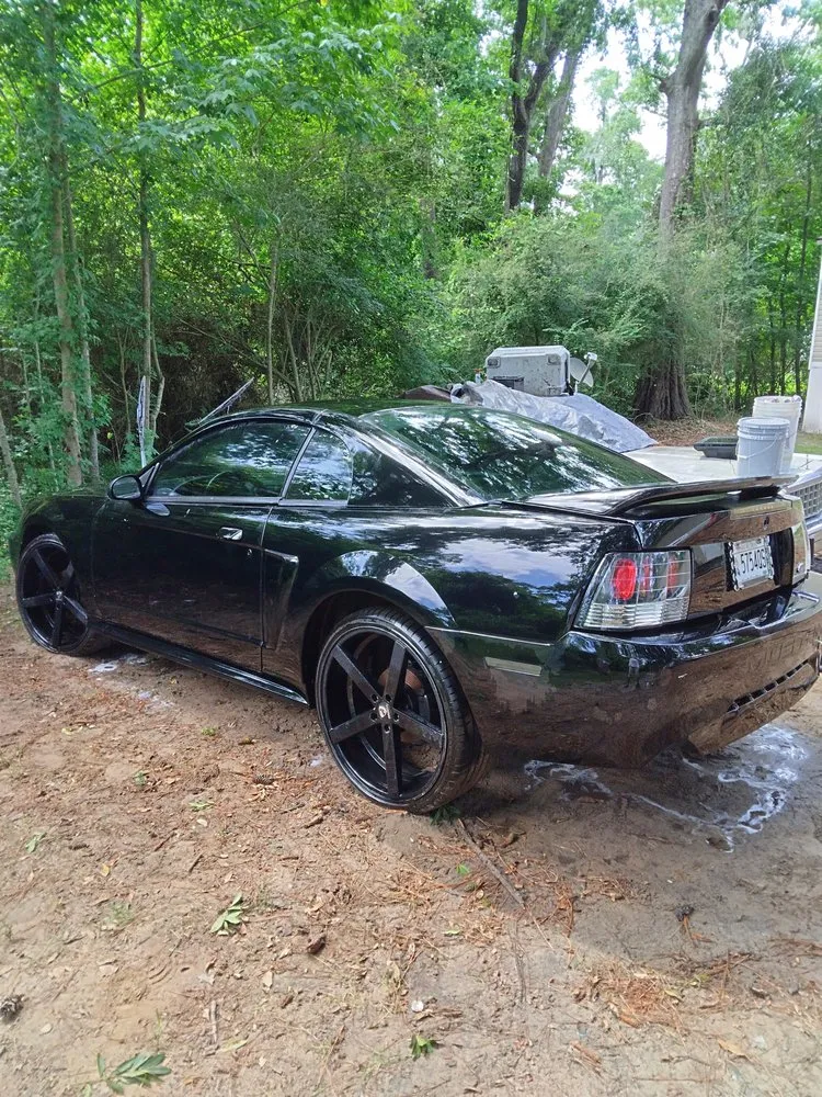 Top-rated yard maintenance in Beaufort, SC by Wipe 'N' Bite