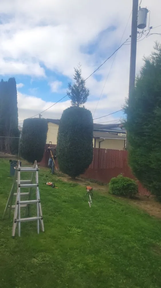 Local garden landscaping experts serving Longview, WA - Wipplingers Lawn In Order