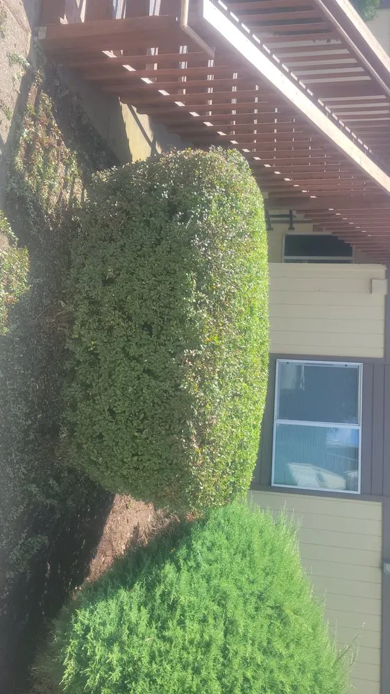 Local landscape installation for homes across Longview, WA - Wipplingers Lawn In Order